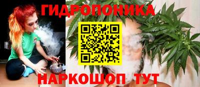 таблы Гусев