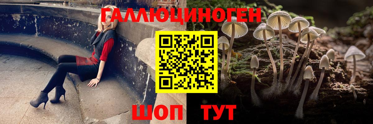 Псилоцибиновые грибы мухоморы  Псилоцибиновые грибы прущие грибы  Вход с VPN  Мелеуз 